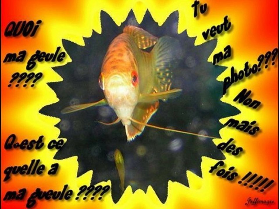 Vincent se lache....wmv