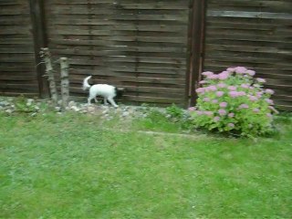 20.09.2010 Privat 028