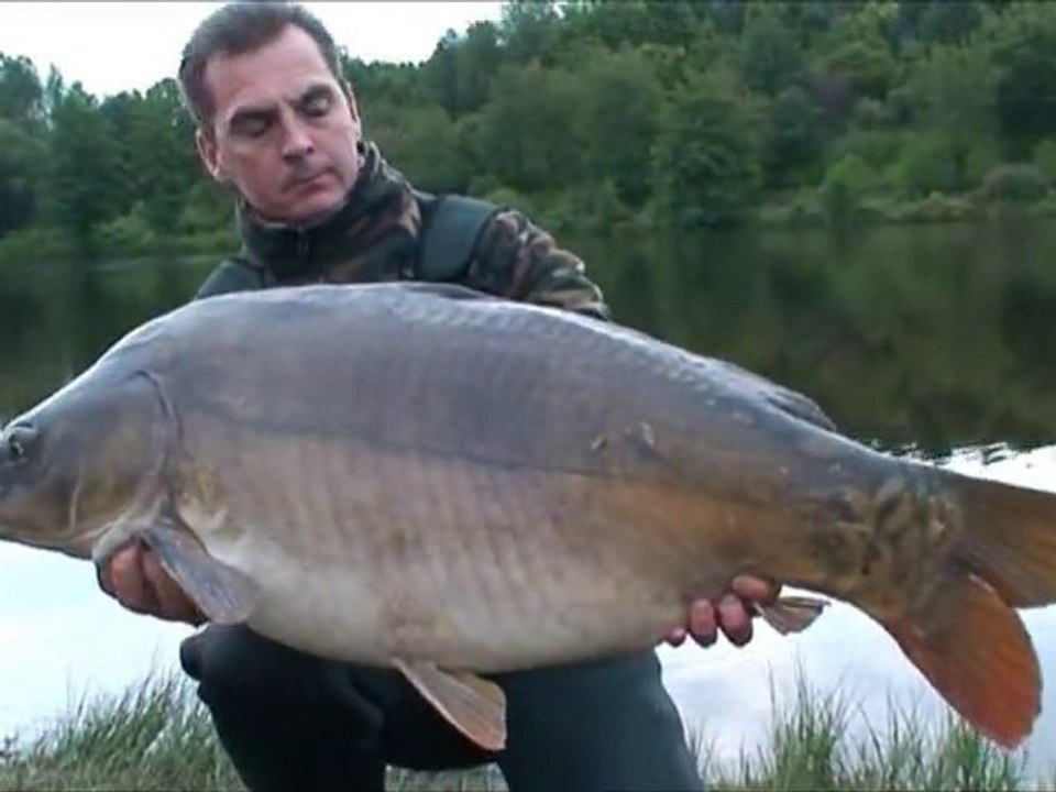 Plusieurs Captures de carpe n °2