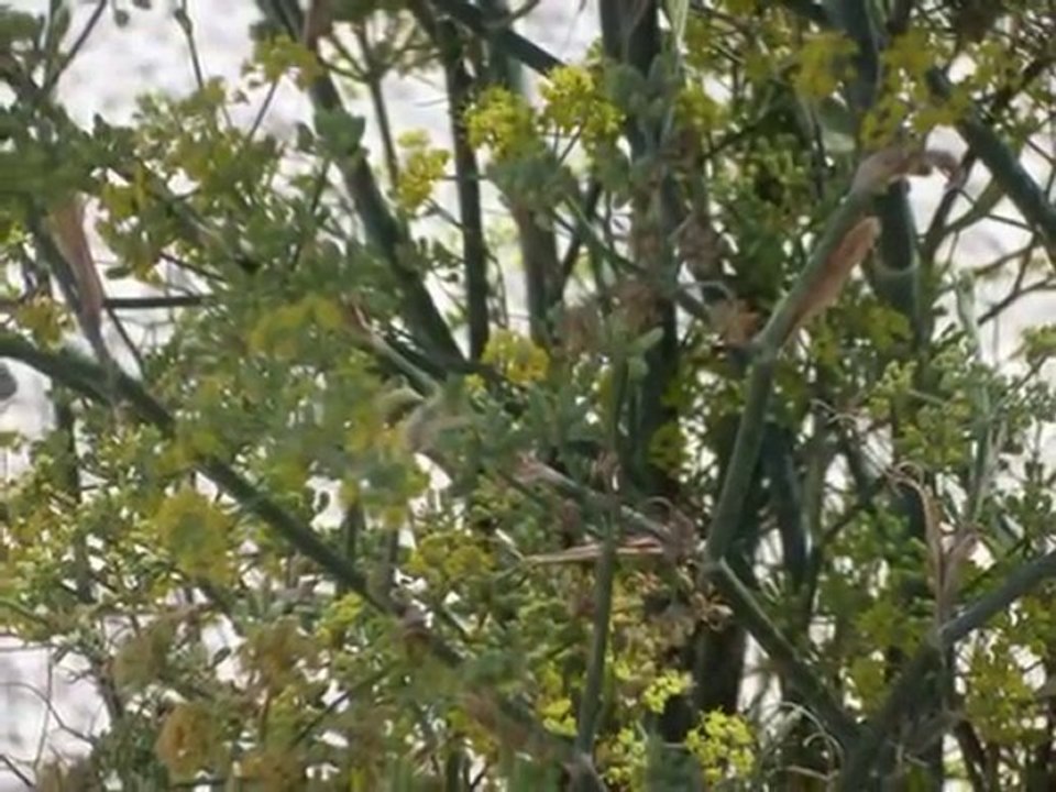 AĞUSTOS-EYLÜL 2010-2-İRFAN VURAL (irfan-vural@hotmail.com)