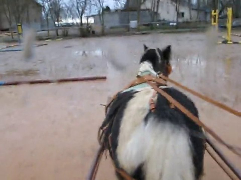 un petit tour aux écuries de crevecoeur
