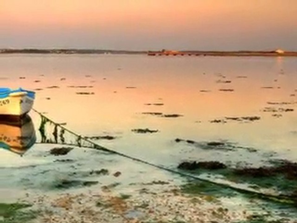 Complainte de Saint Martin sur Oust Bagad de Lann Bihoue