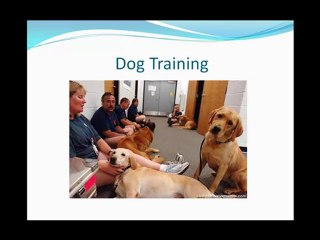 Veterinarian In Kearney Nebraska