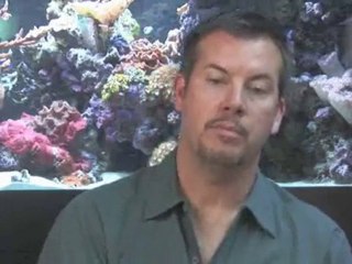 Aquarium Filter Basics : What is a 'wet or dry trickle filter' for an aquarium?