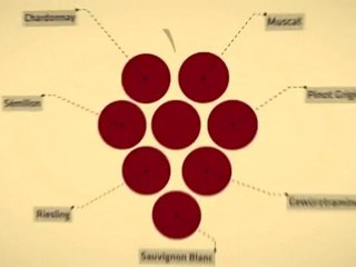 Visual Loop Daily Video - The Conception of Wine
