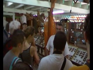 Restaurant puis musée des insectes