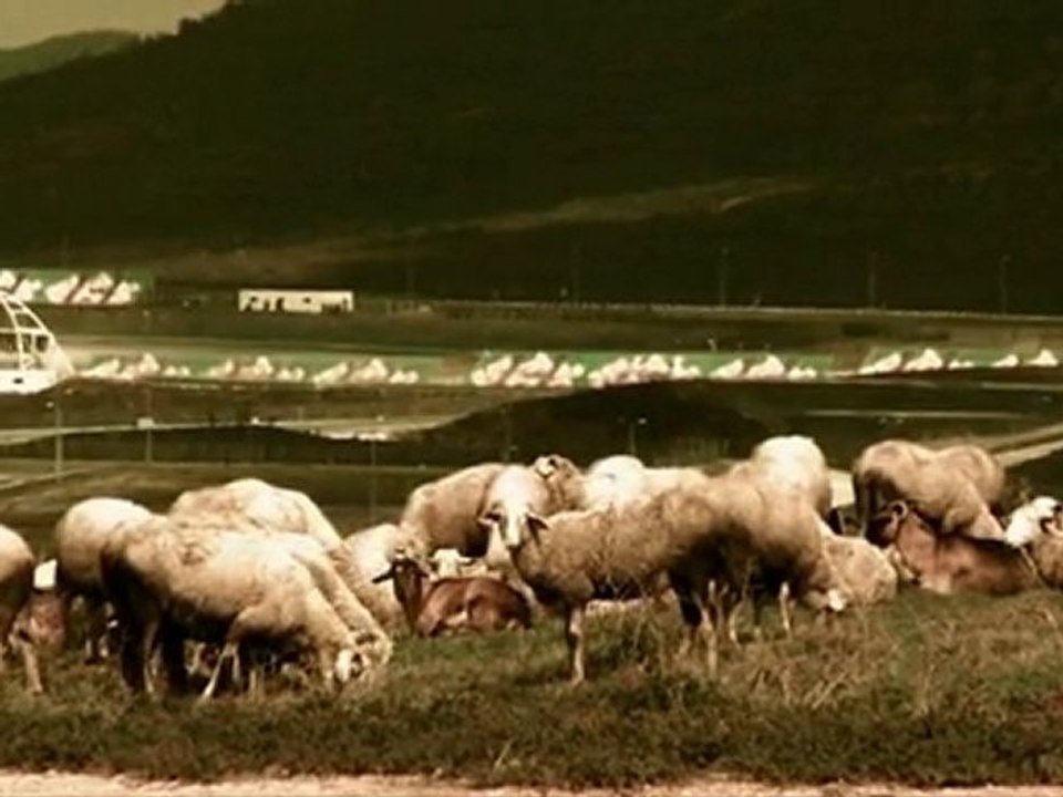 SCİROCCO TEAM (By Buura)