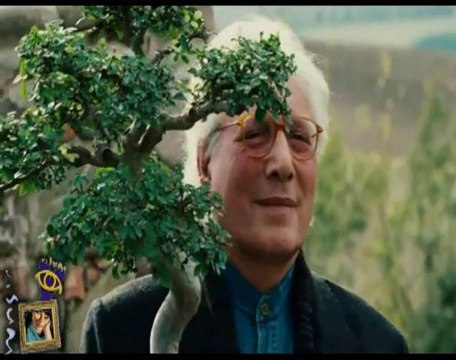 La bellezza del somaro