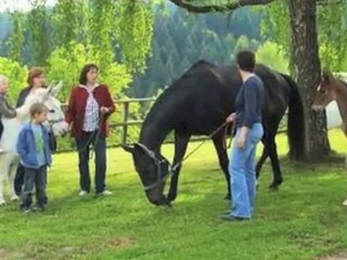 Familienhotel Neukirchen Vorm Wald Gutshotel ...