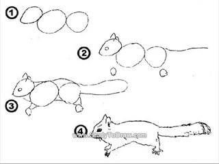 how to learn to draw like a pro in 1 week