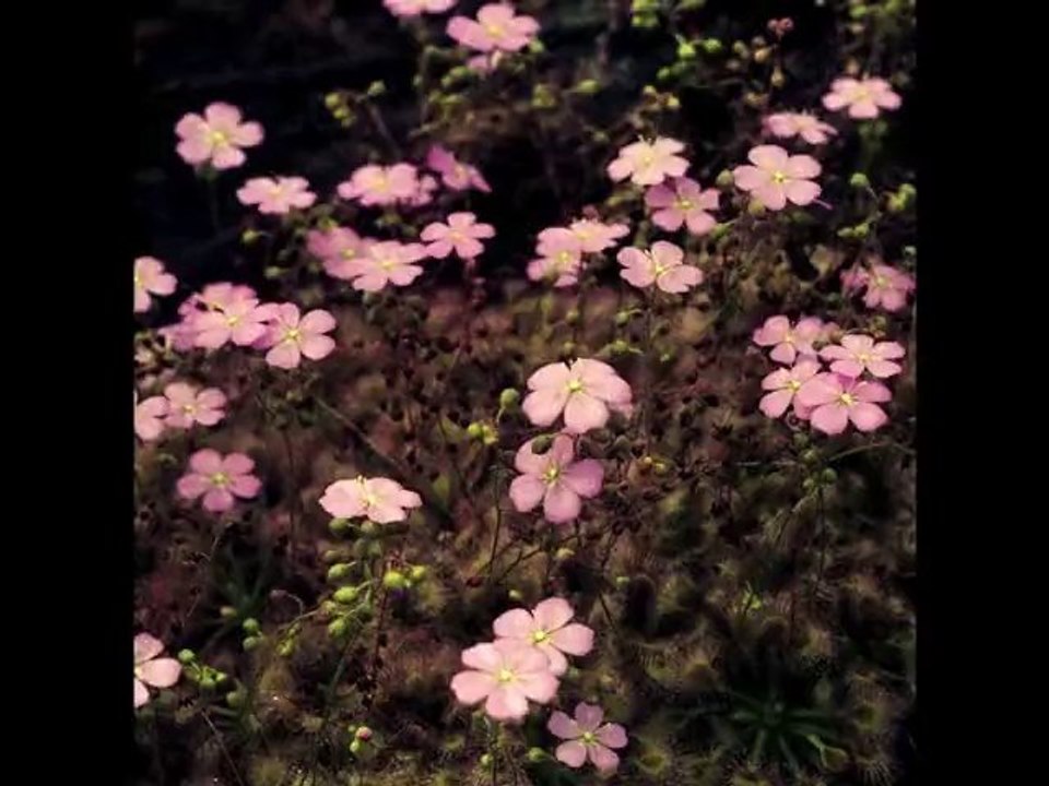 2009-2010 of photography in one minute