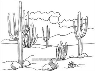 how to draw horses for beginners