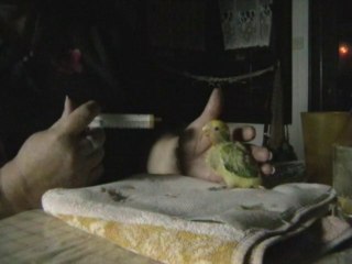 Le petit dejeuné de Pilou