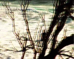 Ben Player Bodyboard Session