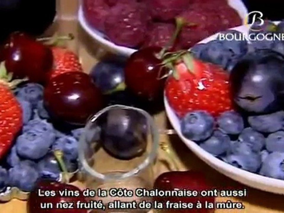 Dégustation des vins rouges de Bourgogne - BIVB