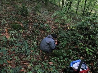 Escargot de Quimper 3