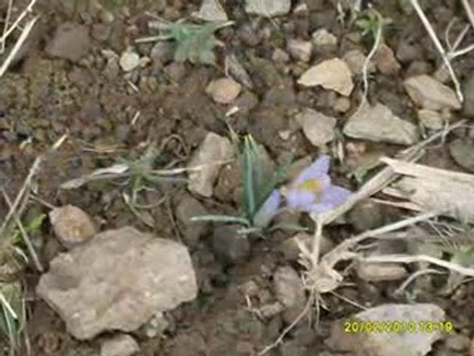 BEYAĞIL RESİMLERİ ŞUBAT 2010-1AA--İRFAN VURAL