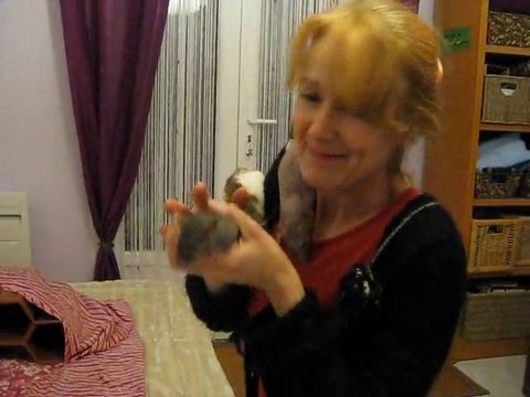Thumbnail