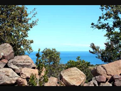 LOUER EN CORSE EN CORD DE MER VILLAS MAISONS AVEC PISCINE BD