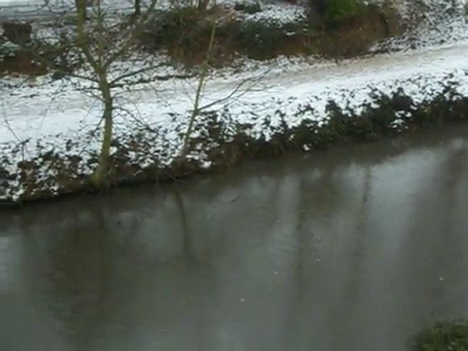 Athis-Mons -Mouettes sur l'Orge le 20.12.2010