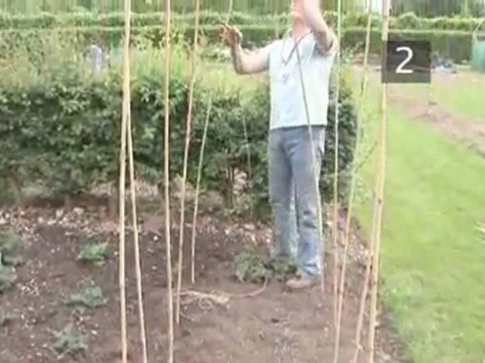 How To Build A Ridge Support For Runner Beans