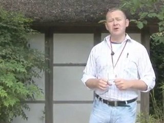 An Introduction To Japanese Tea Gardens