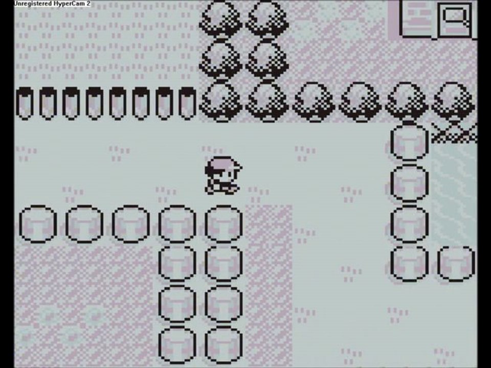 pokemon rouge 20 2/2