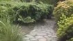 An Introduction To Japanese Gardens