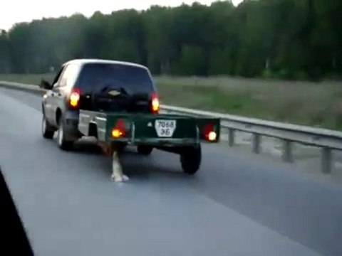 Il modo più ridicolo per rimpiazzare una ruota