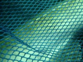 trimix frankrijk usb stick 324