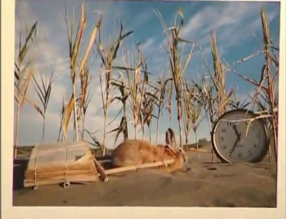 Cavalaire - Exposition Photolivres