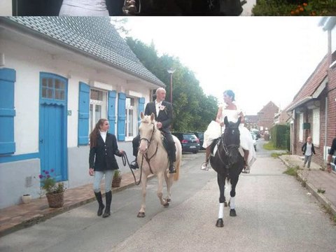 LADY, la déesse des ponette !