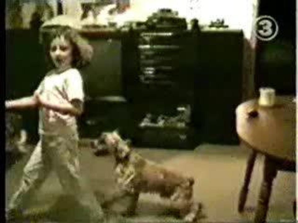 Chien joueur