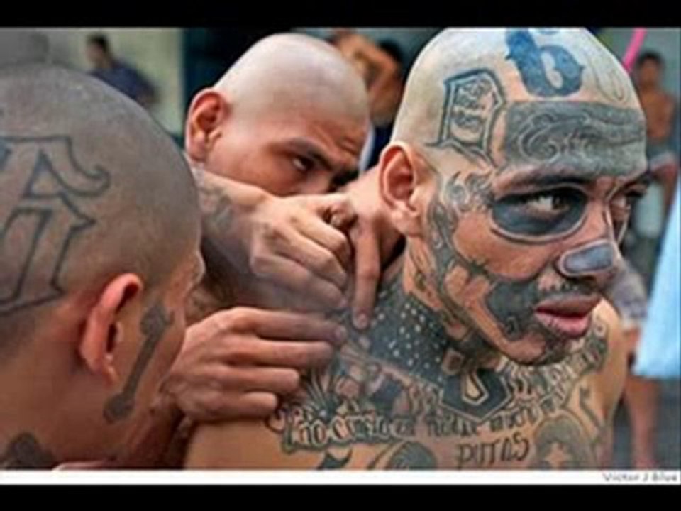 ms13  mara salvatrucha trece   gang