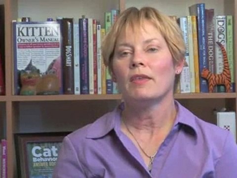 Traveling And Vacations With Cats : How can I best prepare my cat sitter before I go on vacation?