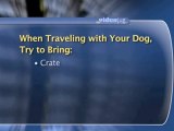 Dog Ownership: Traveling And Vacations : What items should I pack for my dog when traveling?