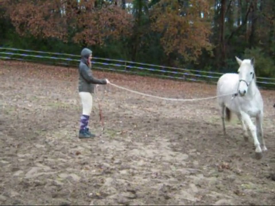 Stage, travail à pied