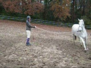 Stage, travail à pied