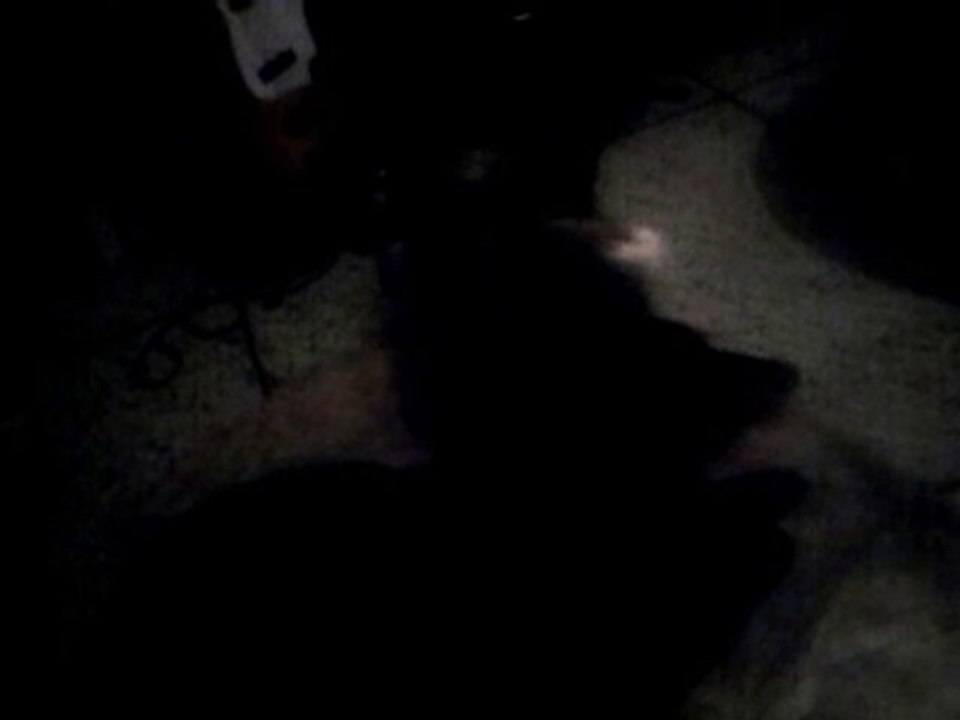 chien-chat