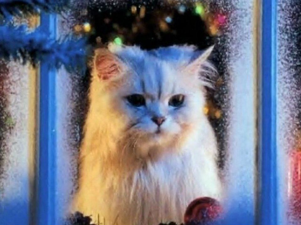 A very Happy ,Merry Xmas To All My Dm Friends