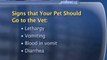 Dog Emergency Care : What are the warning signs that my dog needs to see a vet?
