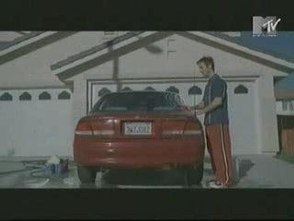 MUSE - Muscle Museum