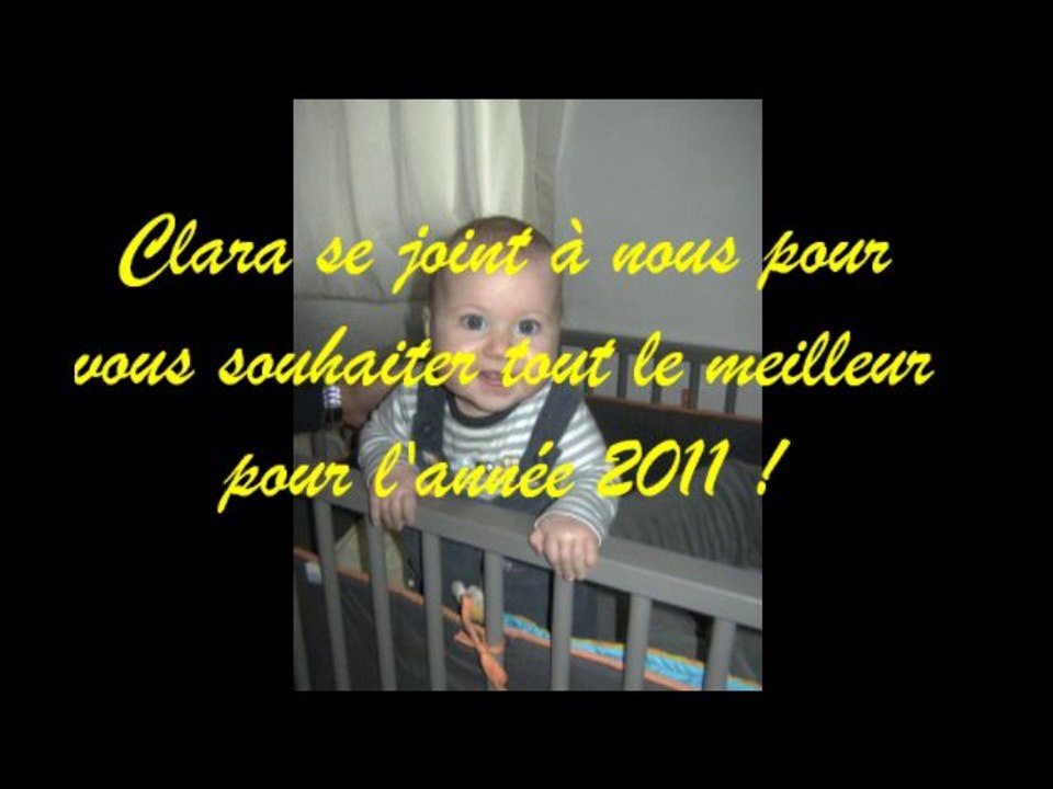 Meilleurs voeux pour 2011