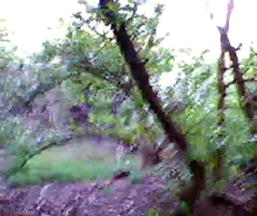 El mirador del mar P2
