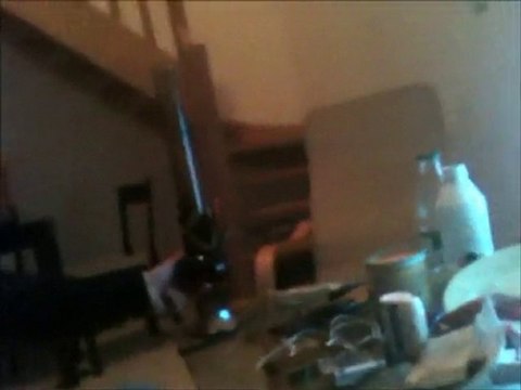 Zefir _ Pour les jeunes déboussolés