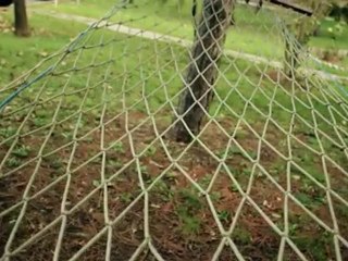 Onor BumBum  - Dokun