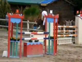 Jument 8ans classement 135 Venu du Theil (WWW.EQUIRODI.COM)