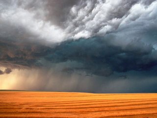 RELAXING, MEDITATION & WELLNESS MUSIC  VOL.4  (RASA)