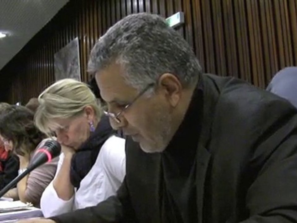 Amendements au budget 2011- Groupe Ecologie et Solidarité