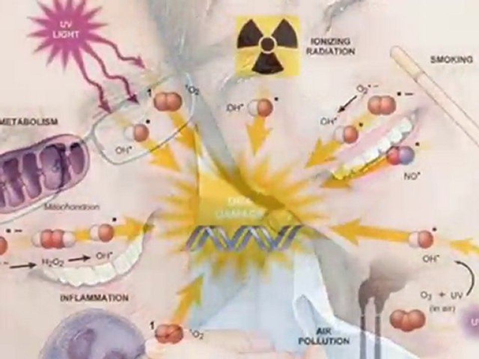 MonaVie Antioxidants
